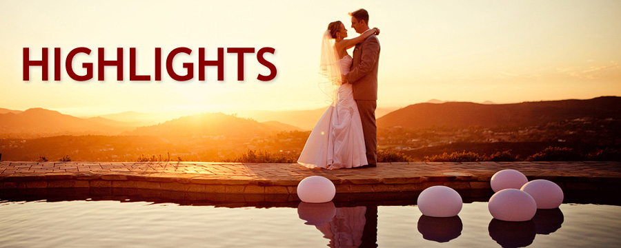 Wedding highlights